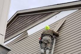 Best Vinyl Siding Installation  in Andrews, TX